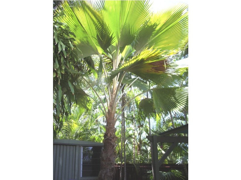 4/12 Gotham Street, Leanyer NT 0812