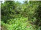 Section 2976 Javelin Road, Dundee Downs NT 0840