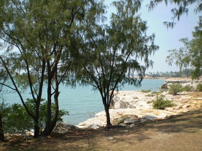 16 Banksia Street, Nightcliff NT 0810