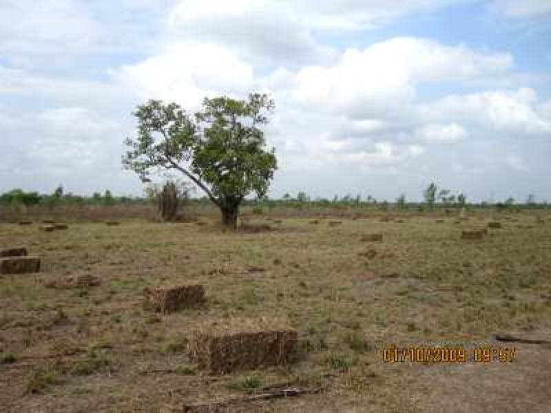 480 Kentish Road, Livingstone NT 0822