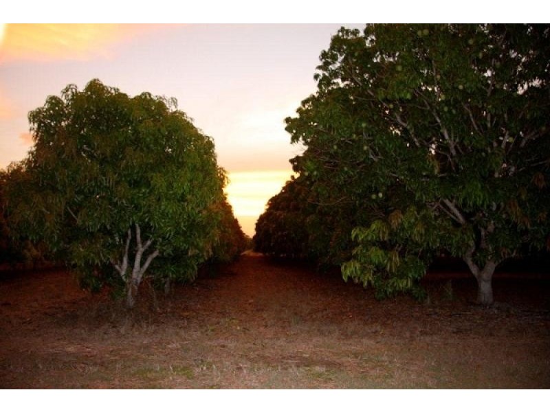 270 Golding Road, Acacia Hills NT 0822