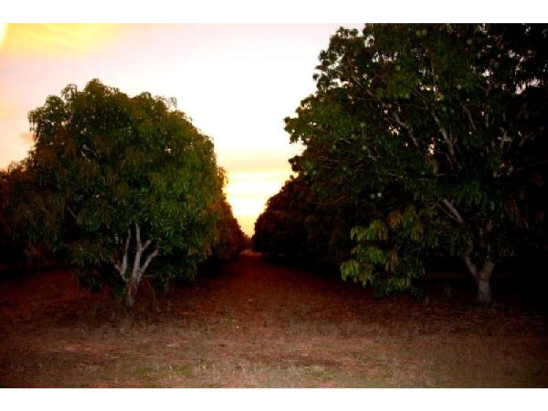 270 Golding Road, Acacia Hills NT 0822