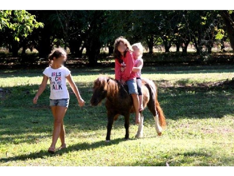 270 Golding Road, Acacia Hills NT 0822