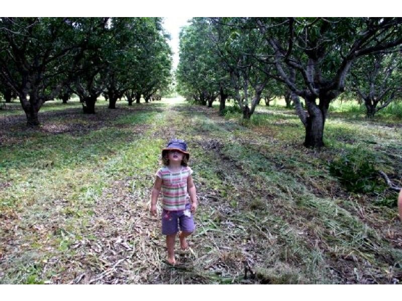 270 Golding Road, Acacia Hills NT 0822