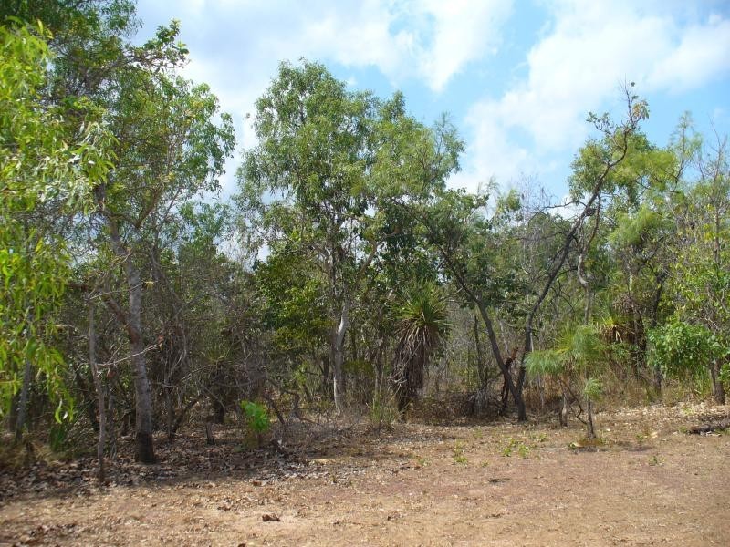 Section 3296 Andreas Avenue, Dundee Forest NT 0840