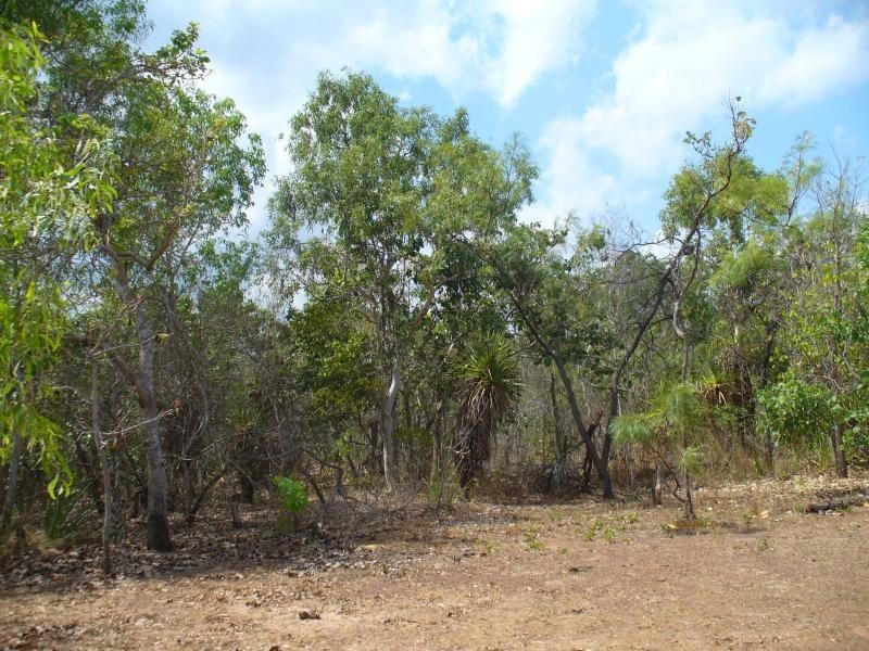 Section 3296 Andreas Avenue, Dundee Forest NT 0840