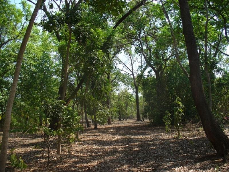 3803 Balanda Drive, Dundee Beach NT 0840