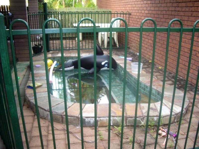 22 Hotham Court, Leanyer NT 0812