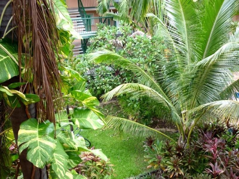 51/7 Finnis, Darwin NT 0800