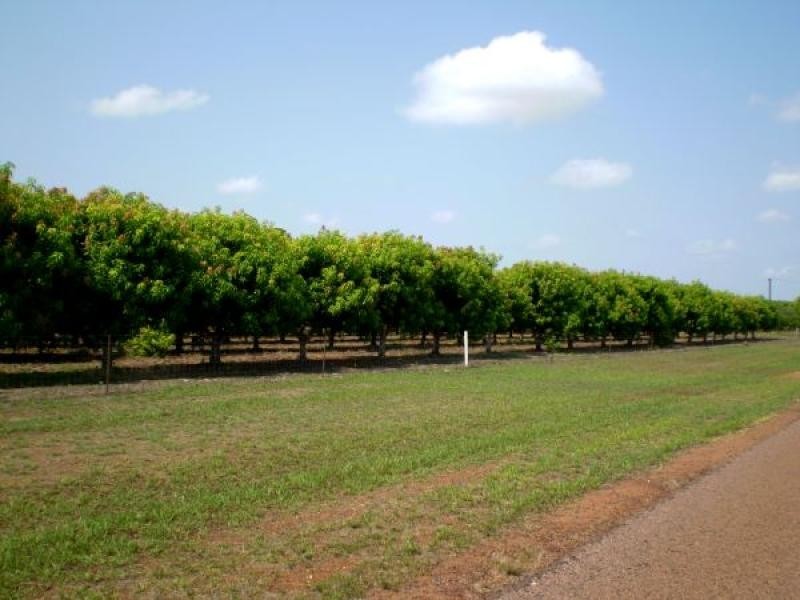 270 Golding Road, Acacia Hills NT 0822