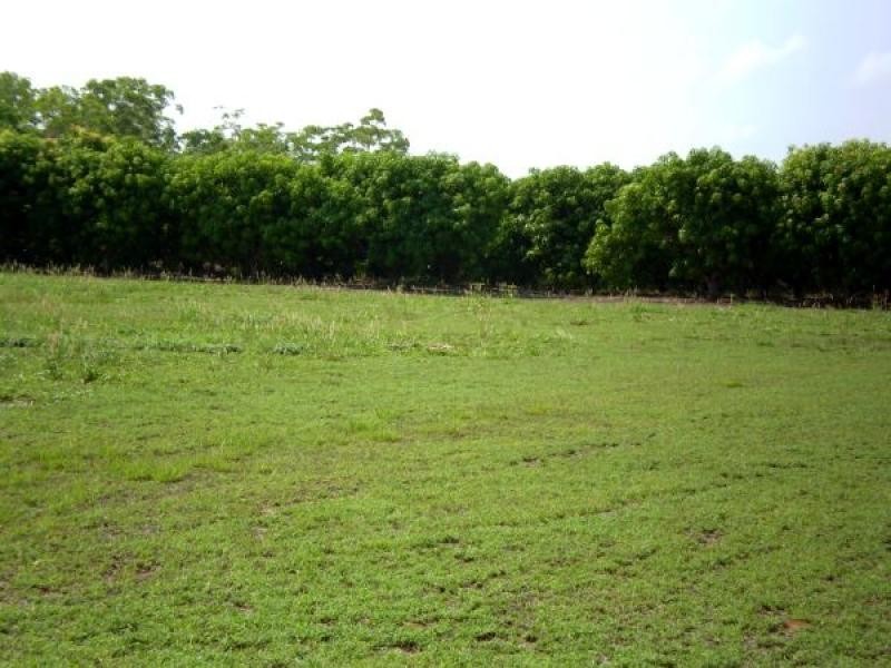 270 Golding Road, Acacia Hills NT 0822