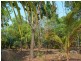 3803 Balanda Drive, Dundee Beach NT 0840