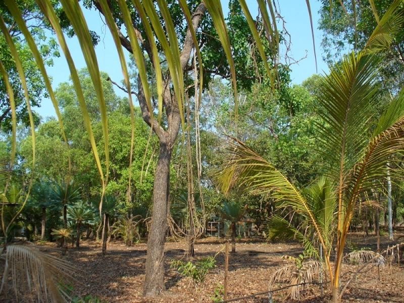 3803 Balanda Drive, Dundee Beach NT 0840