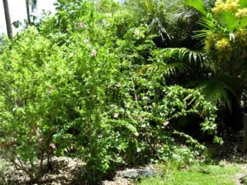 6 Beroona Court, Karama NT 0812