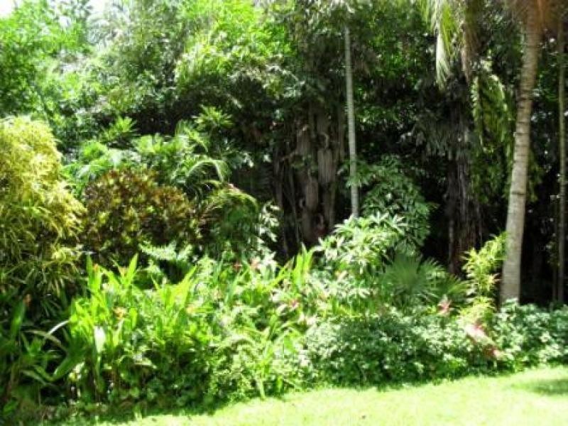 6 Beroona Court, Karama NT 0812