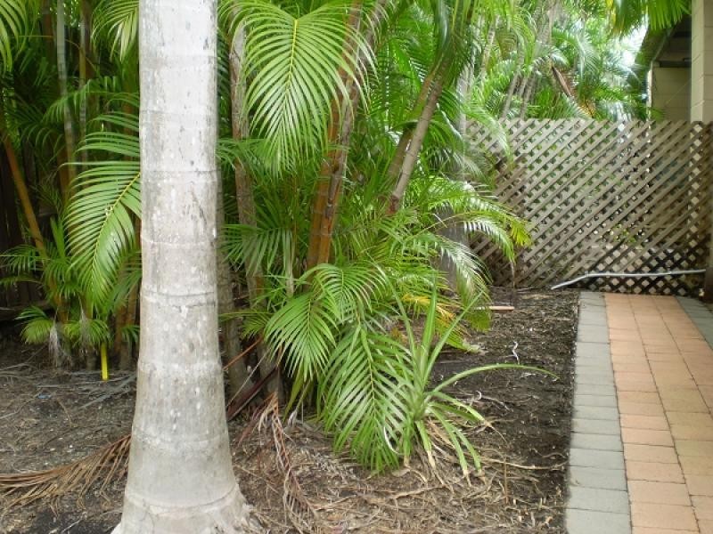 Unit 9 , 8 Banyan Street, Fannie Bay NT 0820