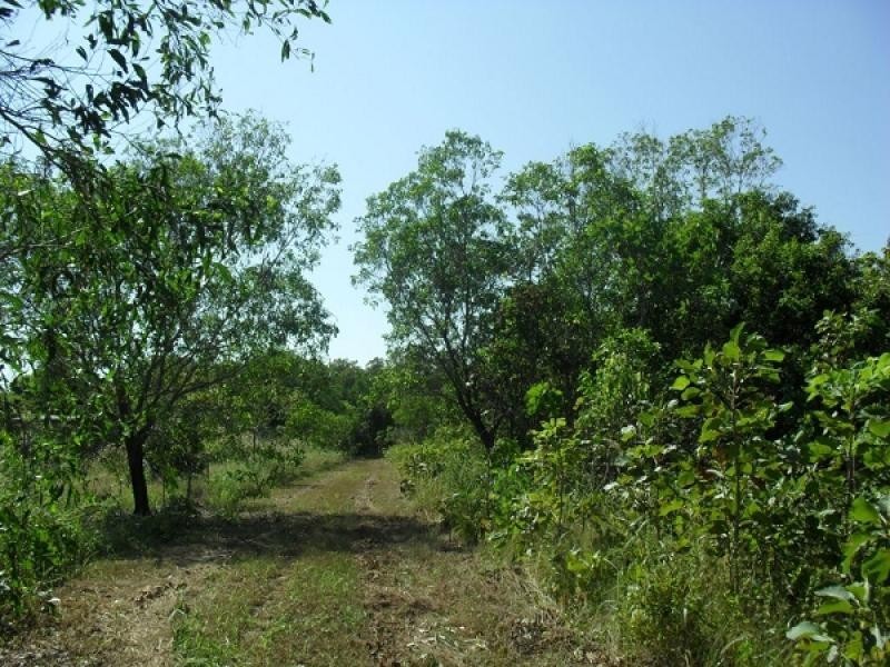 3260 Andreas Avenue, Dundee Beach NT 0840