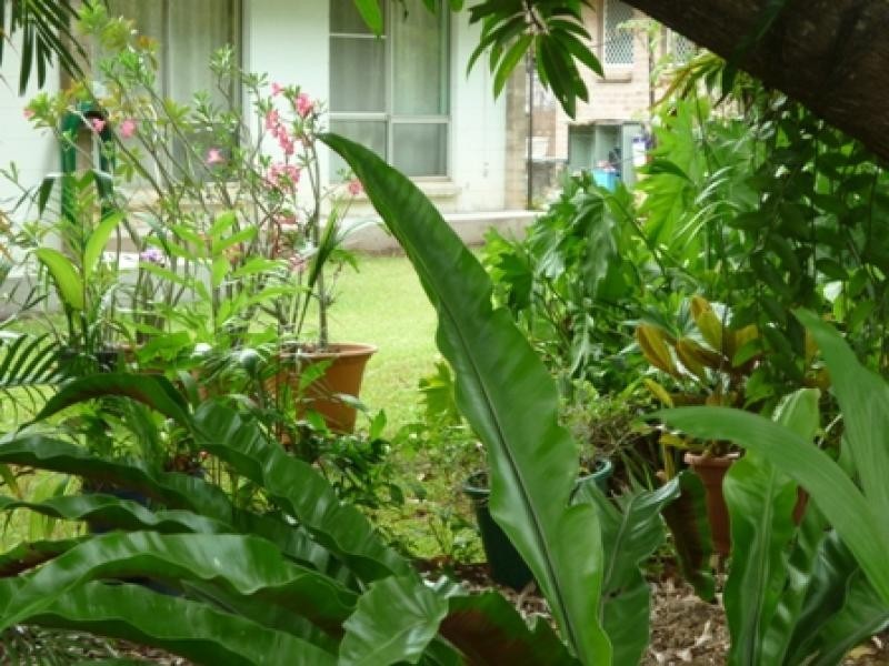 7 Wearing Crescent, Karama NT 0812