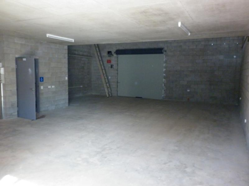 8 Caryota Court, Coconut Grove NT 0810