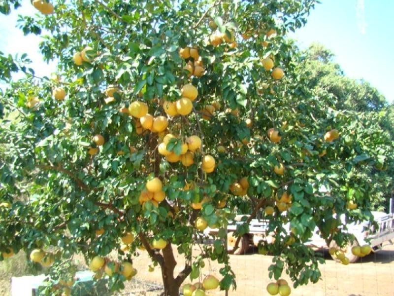 Section 3612 Balanda Drive, Dundee Beach NT 0840