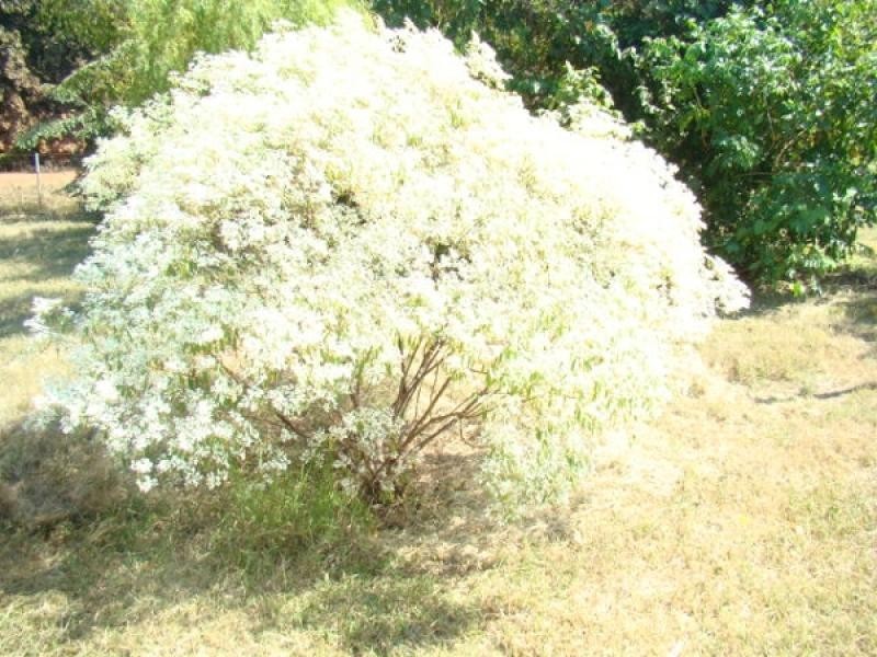 Section 3612 Balanda Drive, Dundee Beach NT 0840