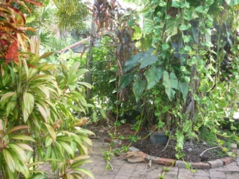 Unit 3/20 Omeo Street, Brinkin NT 0810