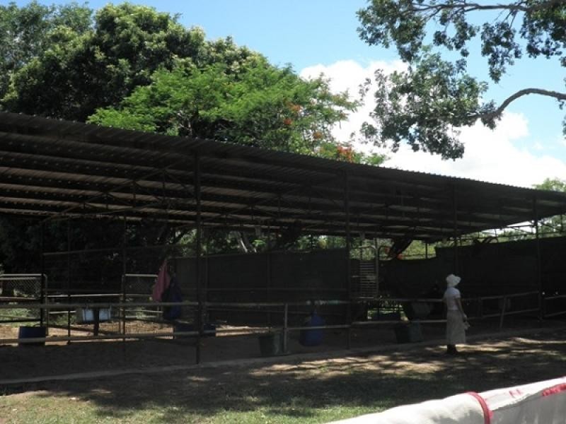 310 Lowther Road, Virginia NT 0835