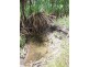 265 Litchfield Park Road, Batchelor NT 0845