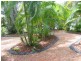 17 Legune Street, Leanyer NT 0812