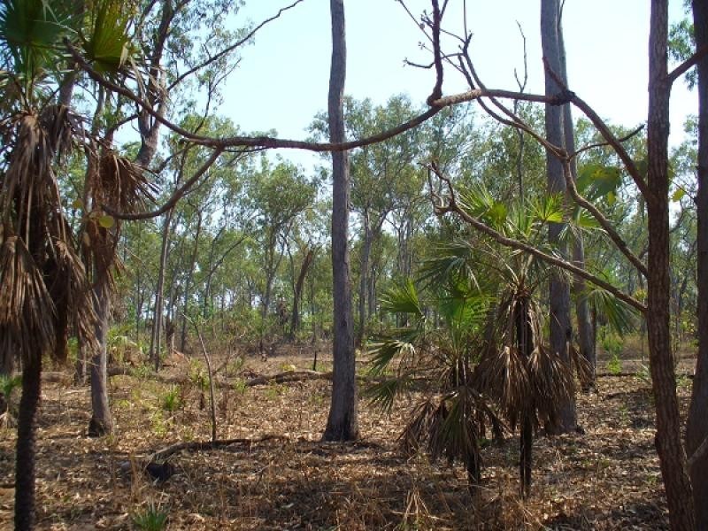 3068 Namarada Drive, Dundee Beach NT 0840