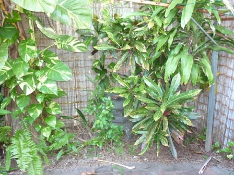 Unit 2/125 Old McMillans Rd, Millner NT 0810