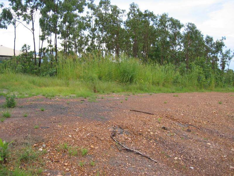 10 ROONEY STREET, Rosebery NT 0832