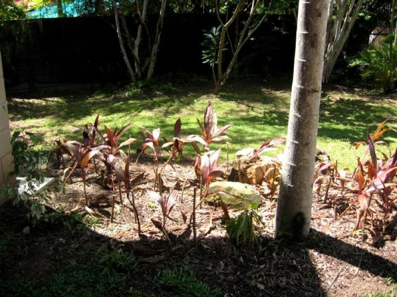 92 ESSINGTON AVENUE, Gray NT 0830