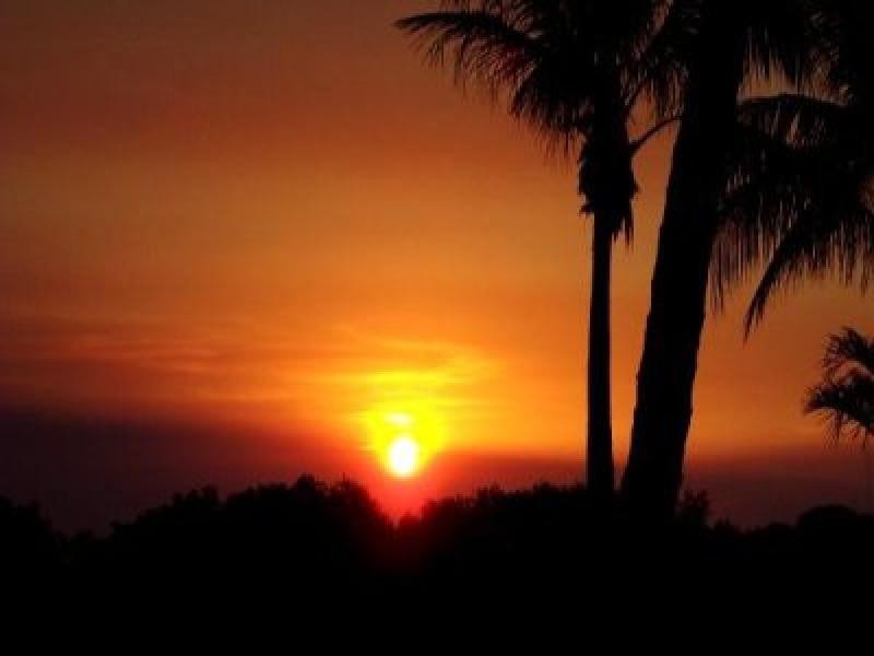 7/91 Aralia Street, Nightcliff NT 0810