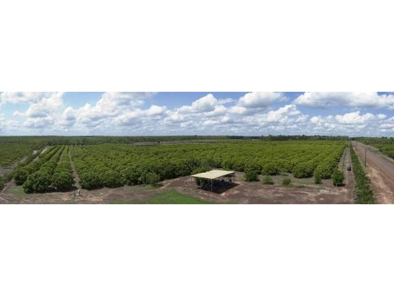 70 Nolan Rd, Humpty Doo NT 0836