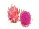 70 Nolan Rd, Humpty Doo NT 0836
