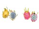 70 Nolan Rd, Humpty Doo NT 0836