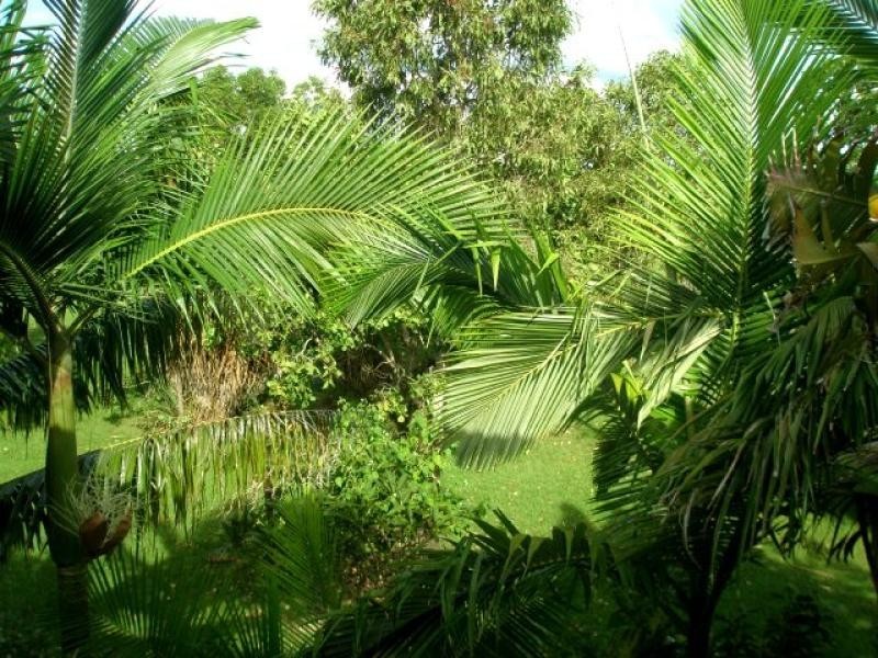 21 Ashburton Way, Gunn NT 0832