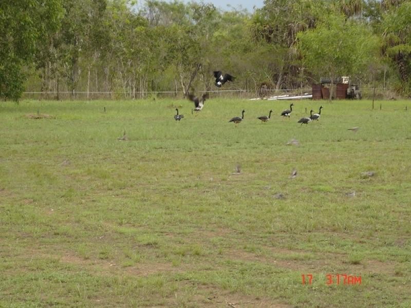 Lot 1/180 Lovelock Road, Bees Creek NT 0822
