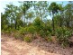 Acacia Hills NT 0822