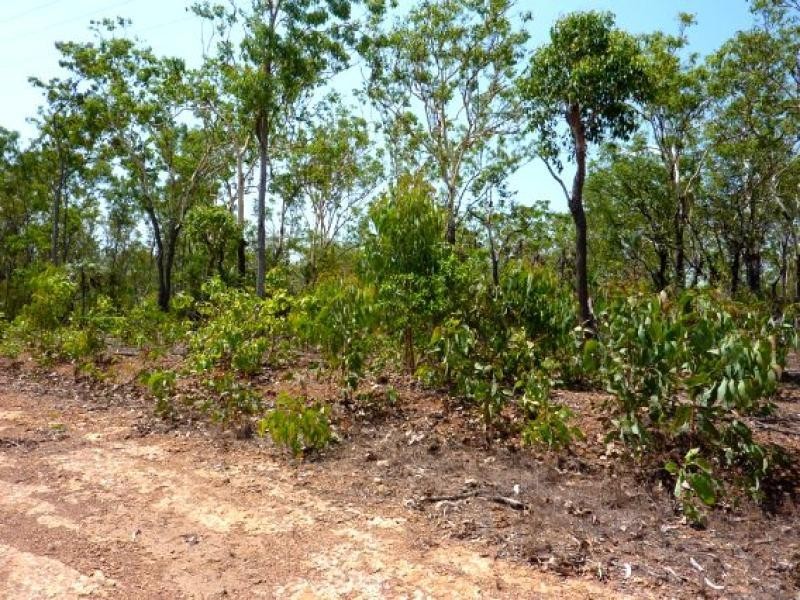 Acacia Hills NT 0822
