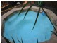 6 Lorna Lim Terrace, Driver NT 0830