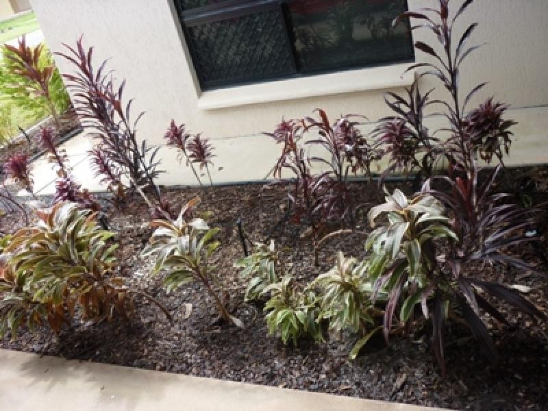 15 Richards Circuit, Rosebery NT 0832