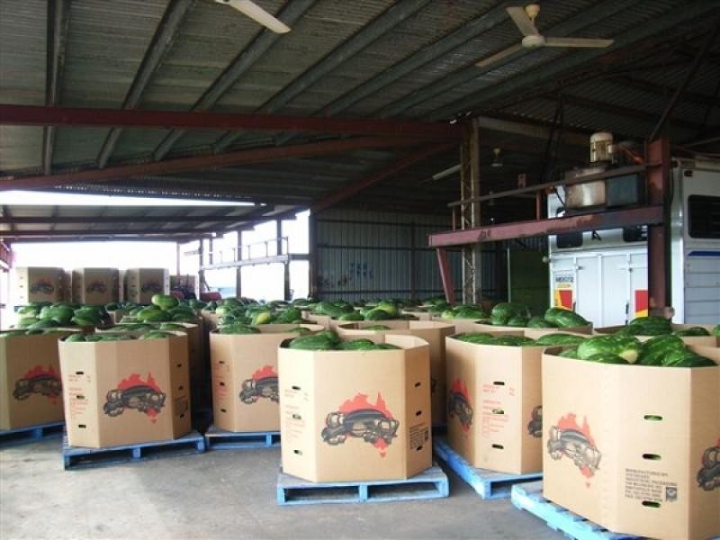 785 Anzac Parade, Middle Point NT 0822