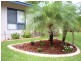 5 Wodyetia, Durack NT 0830