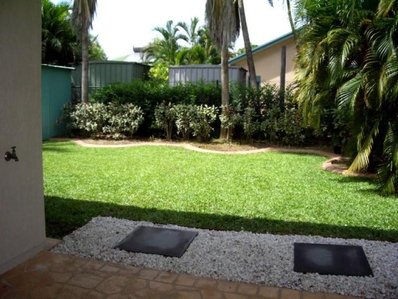 5 Wodyetia, Durack NT 0830