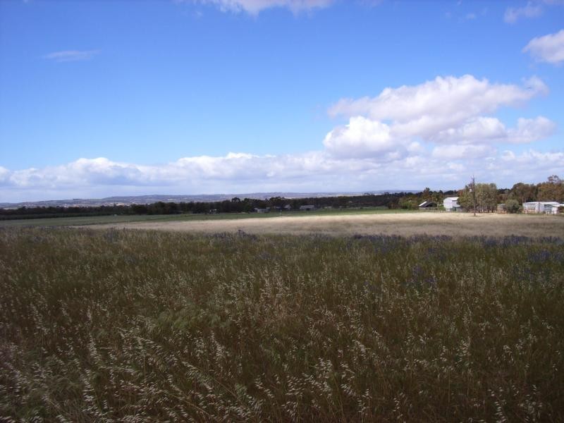 LOT 82 PARKERS ROAD, Gawler Belt SA 5118
