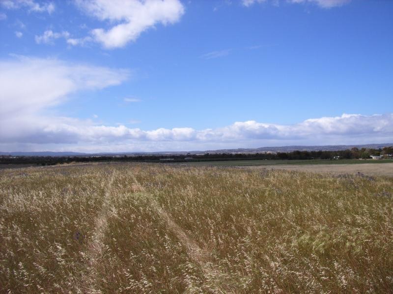LOT 82 PARKERS ROAD, Gawler Belt SA 5118