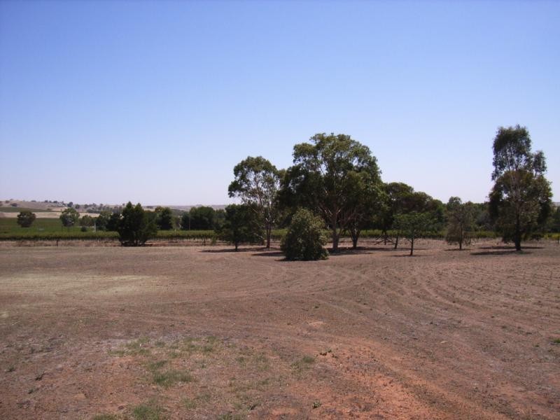 LOT 2 DENHOLM COURT, Lyndoch SA 5351
