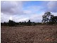 LOT 2 DENHOLM COURT, Lyndoch SA 5351